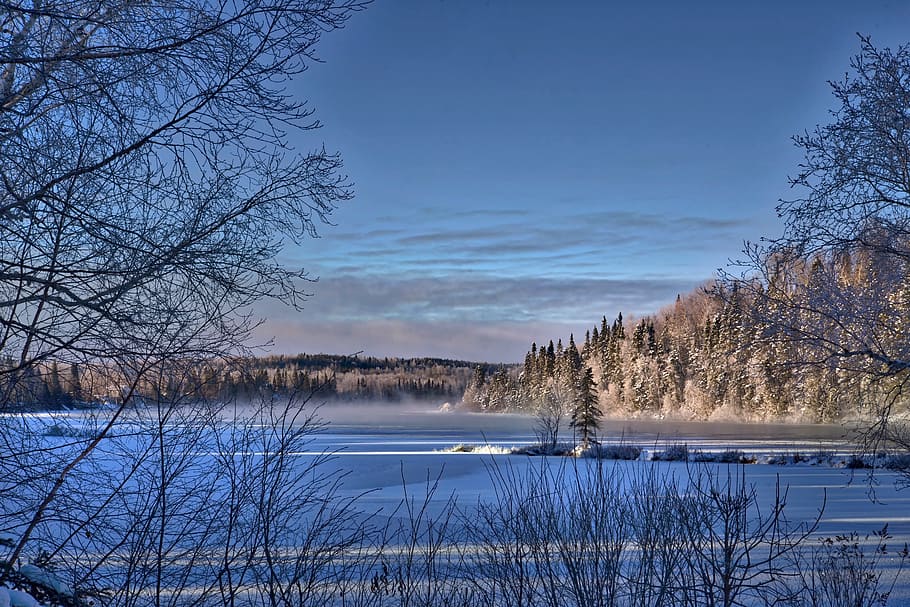 Winter, Landscape, Cold, Trees, Contrast, winter landscape HD wallpaper