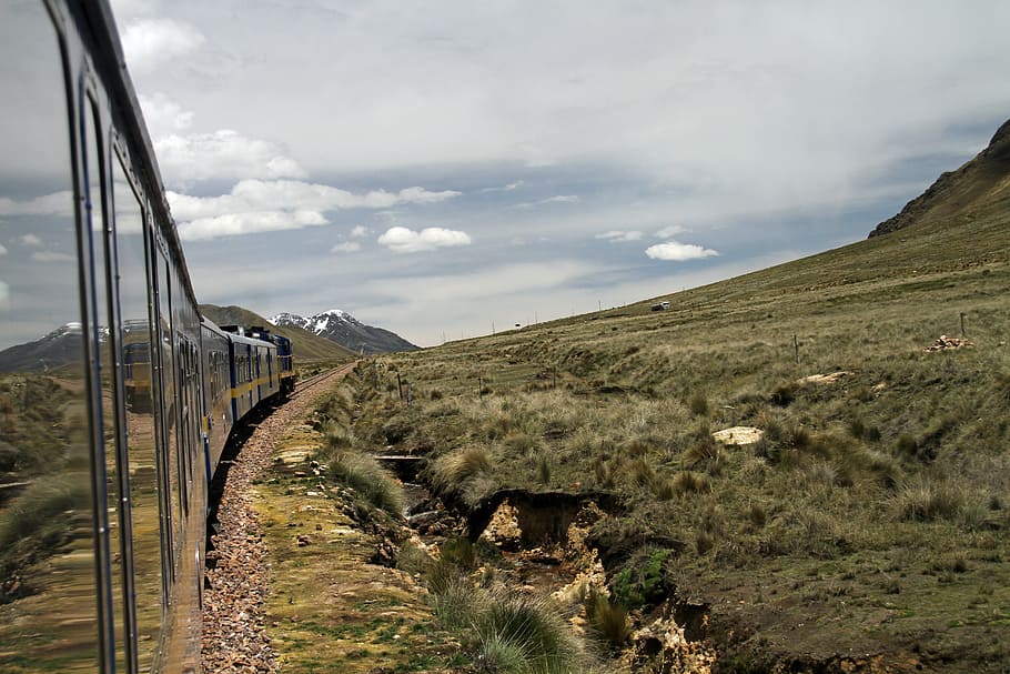green grasses, train, explorer, andes, peru, altiplano, travel, HD wallpaper