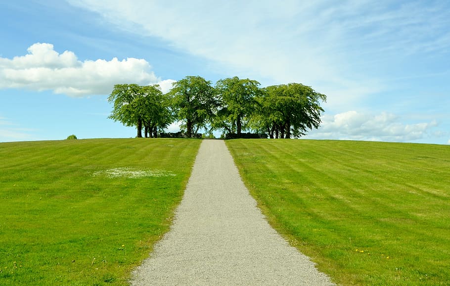 landscape photography of pathway and trees at the end, sky HD wallpaper