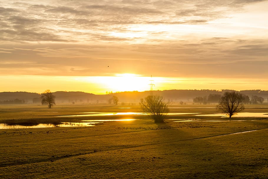 landscape photography of grass field under golden hour, Sun HD wallpaper