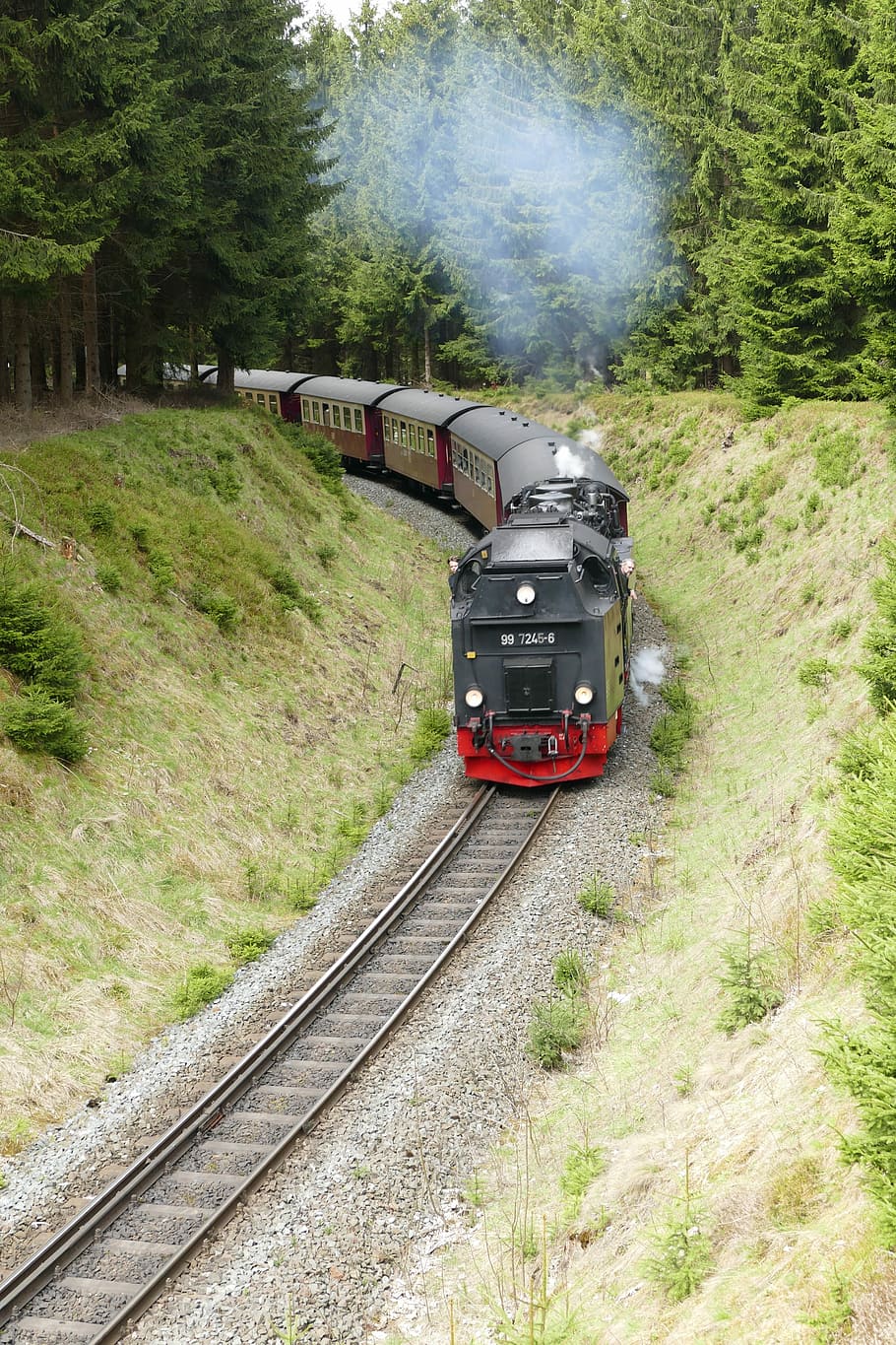 Harzquerbahn, Railway, Gauge, narrow gauge, forest, nature, HD wallpaper