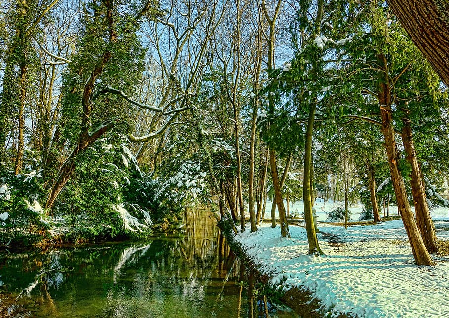nature, wood, tree, river, winter, winter sun, snow, water HD wallpaper