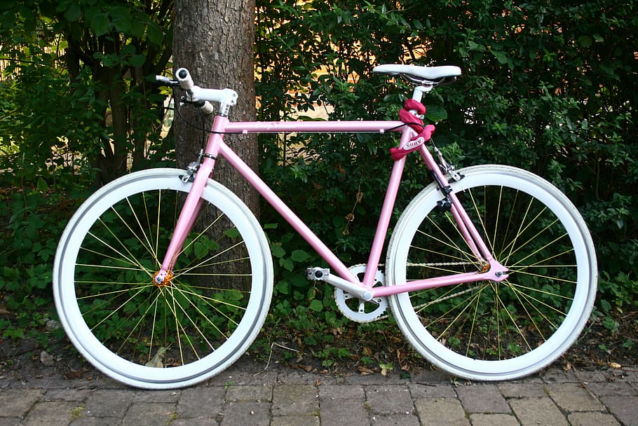 bicycle, wheels, biking, bicycling, sport, lifestyle, land vehicle HD wallpaper