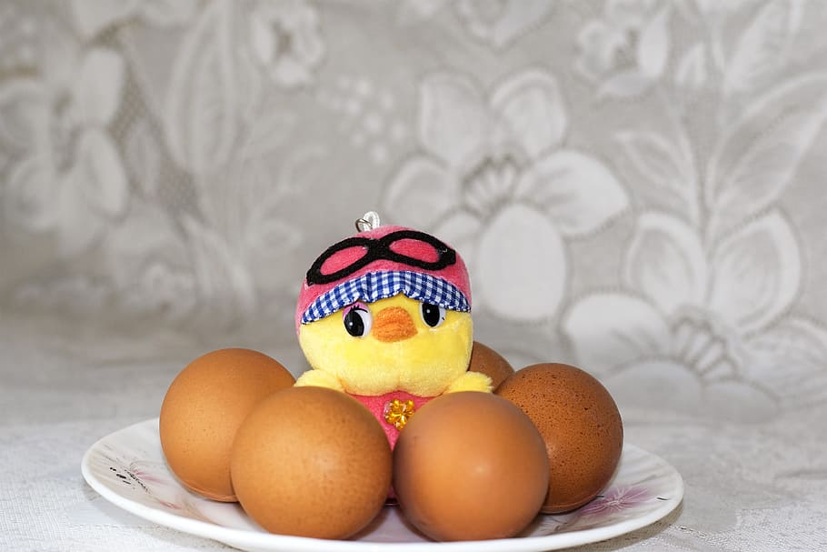 four brown organic eggs on plate, easter, easter eggs, chicken HD wallpaper