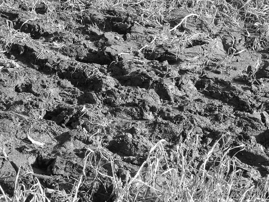 ground, mud, nature, soil, dirt, earth, land, environment, dry HD wallpaper