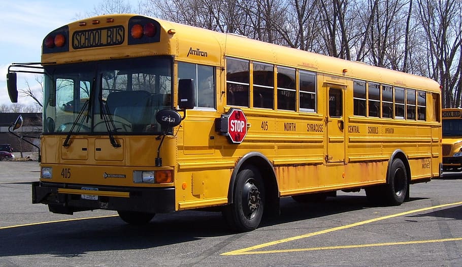 yellow school bus on road, america, transportation, vehicle, public transport