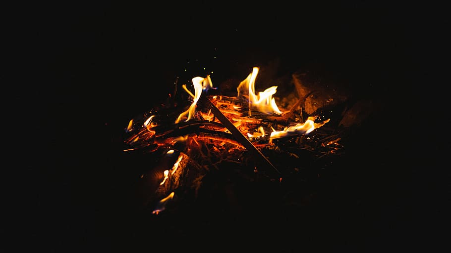 low-light photography of bonfire, photo of bonfire, fire place HD wallpaper
