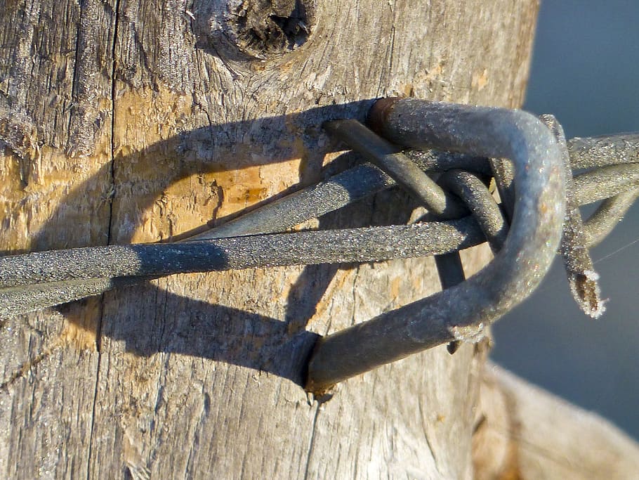Metal, Barb Wire, Close-Up, Farm, fence, barbed, wood - material HD wallpaper