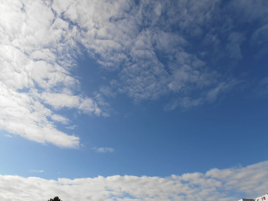 Clouds, Form, sky, clouds form, schäffchenwolken, schäfchenwolke HD wallpaper
