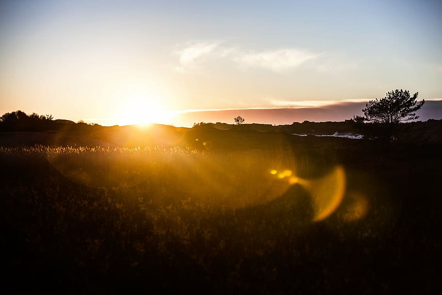 evening, field, nature, scenic, sunglare, sunset, public domain images HD wallpaper