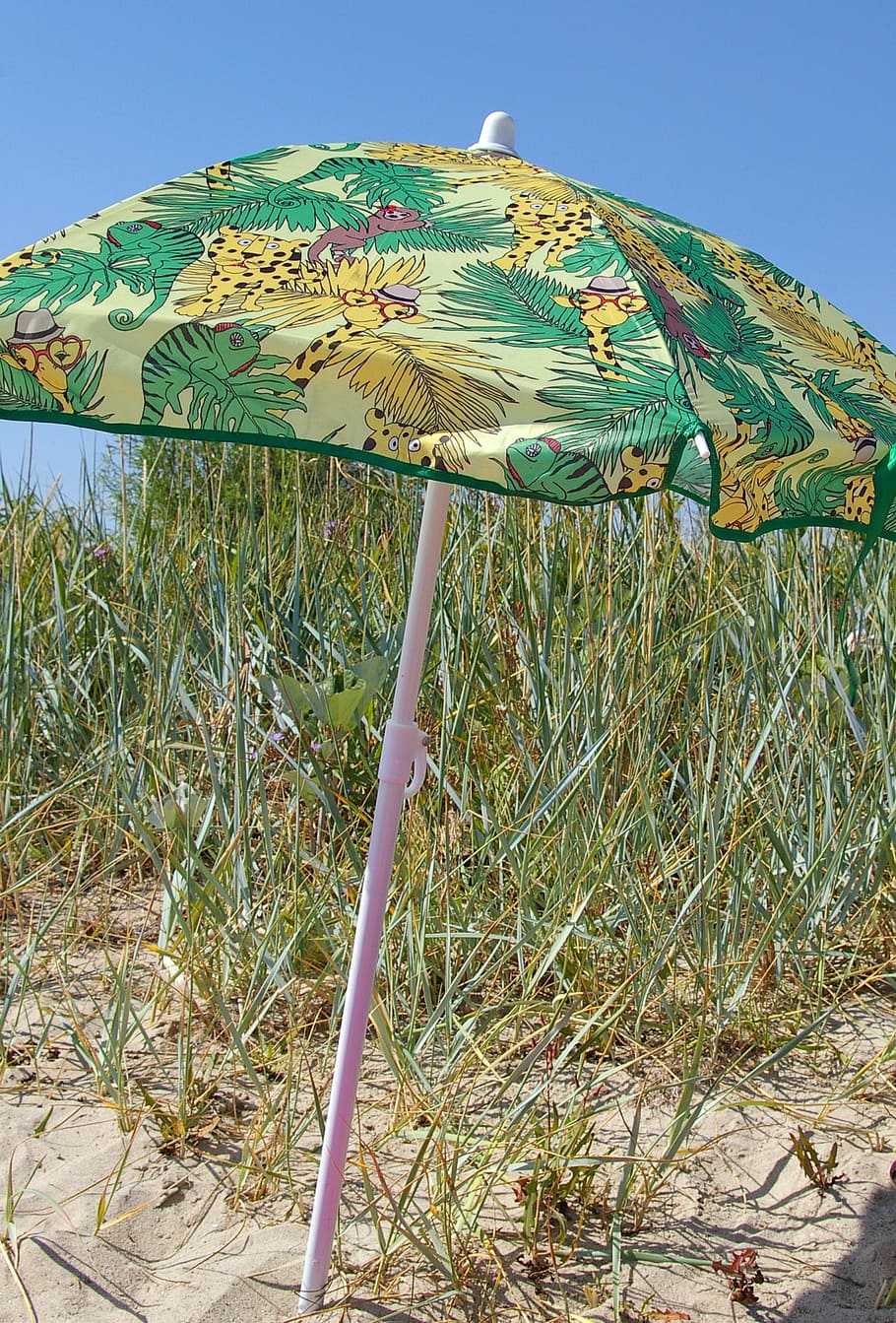 beach, summer, sun, sun protection, parasol, holiday, reed HD wallpaper