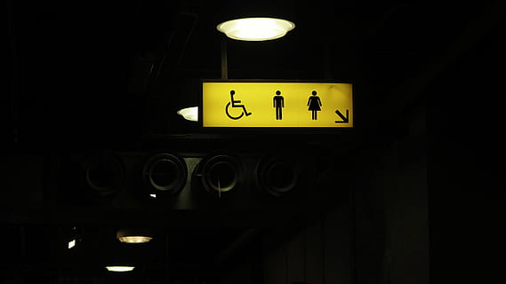 turned-on male, female, and person with disability sign, toilet HD wallpaper