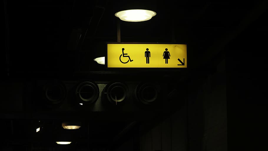 turned-on male, female, and person with disability sign, toilet