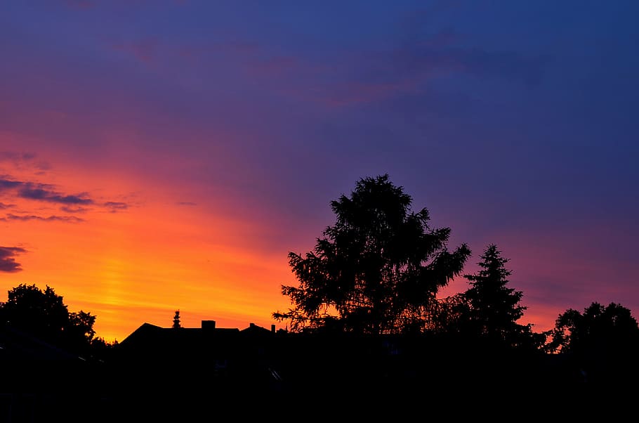 evening, twilight, sky, evening sky, silhouette, tree, sunset HD wallpaper