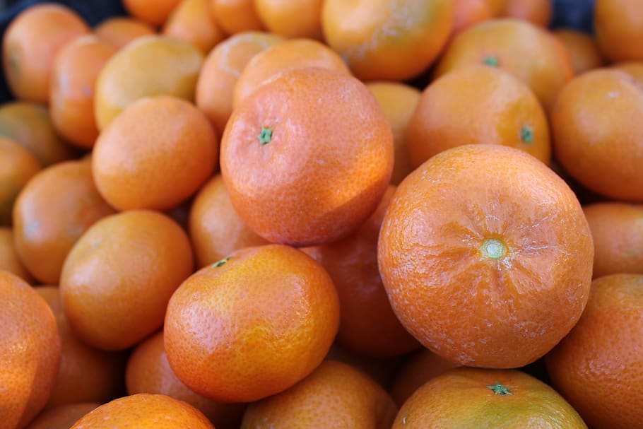 oranges, fruit, food, citrus, food and drink, healthy eating HD wallpaper