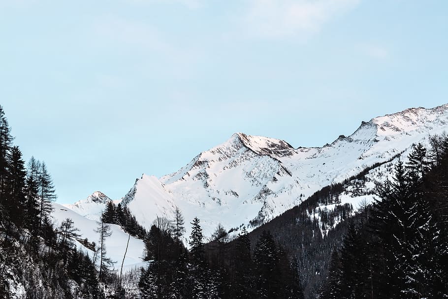 Snow Covered Mountain With Black Trees Under Blue Sky at Daytime HD wallpaper