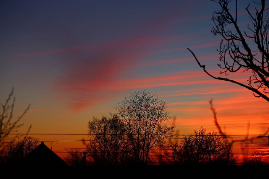 sunset, twilight, tree, sky, evening, silhouette, orange color HD wallpaper
