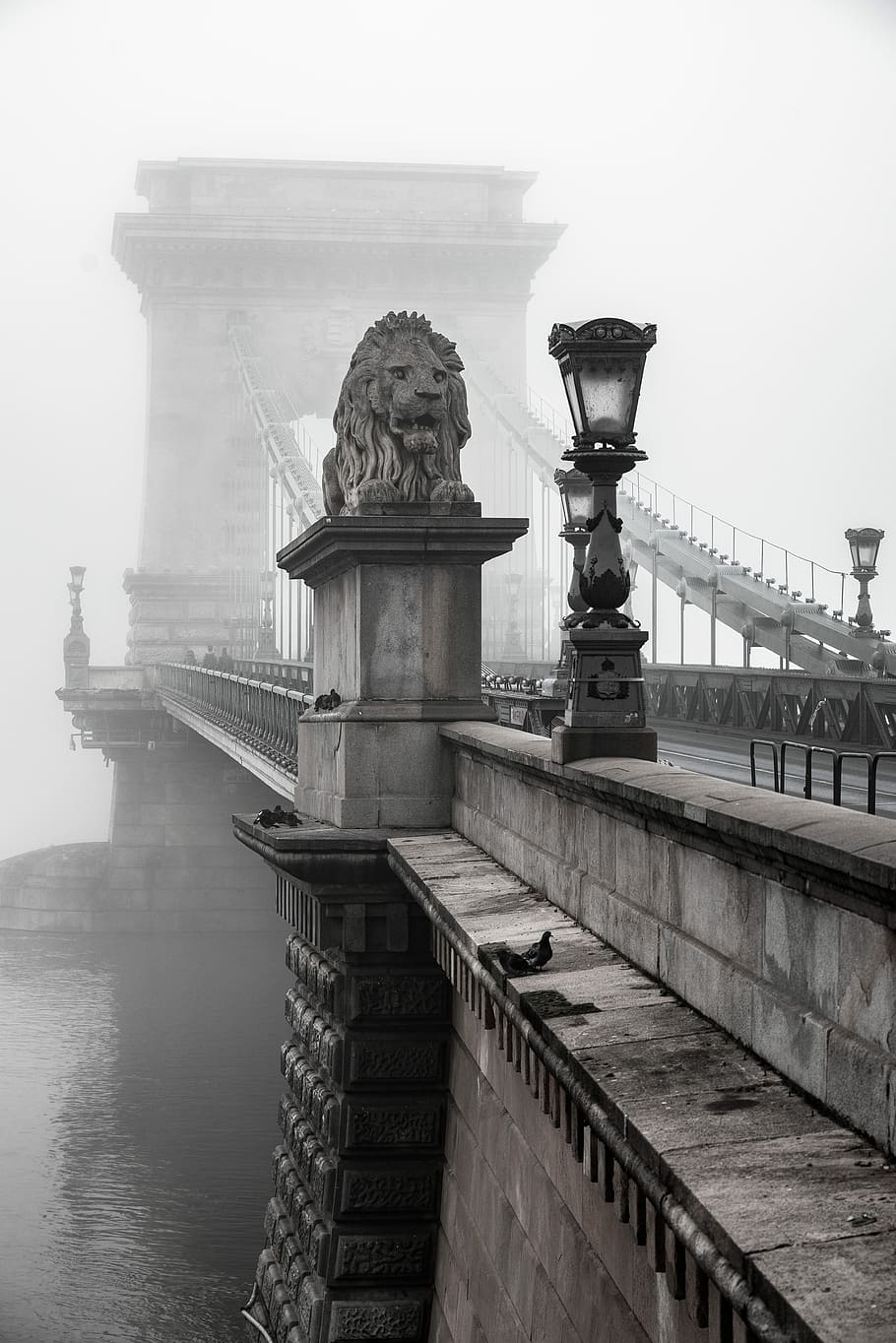 Chain bridge, Budapest, Brooklyn Bridge, person, light, lion HD wallpaper
