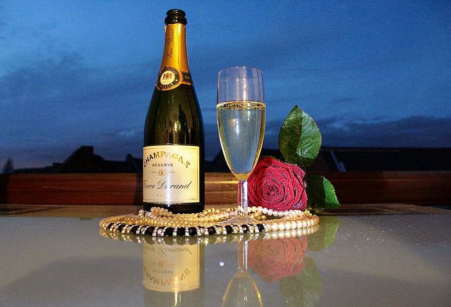 white and brown labeled champagne bottle on white surface, evening HD wallpaper