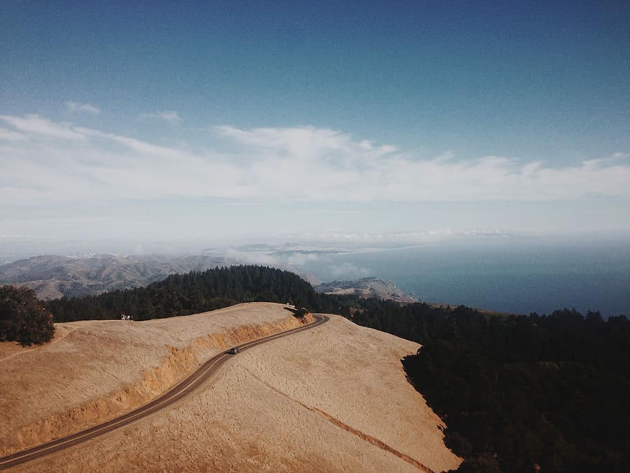 photo of empty road near palm trees, aerial photography of concrete road and trees HD wallpaper