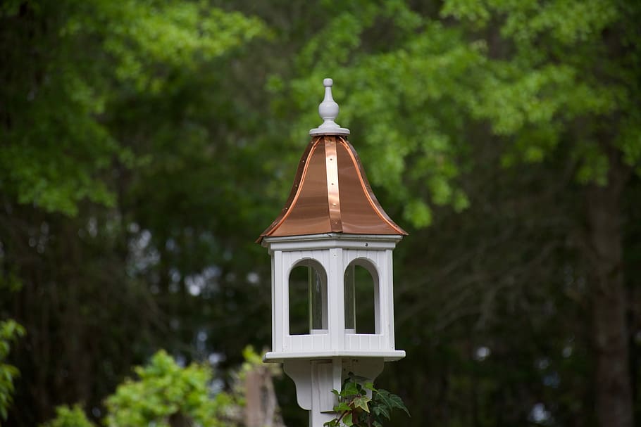 bird, feeder, backyard, plant, tree, built structure, architecture HD wallpaper