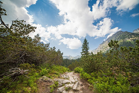 Small Path in the Middle of High Tatras, Slovakia, clouds, forest HD wallpaper