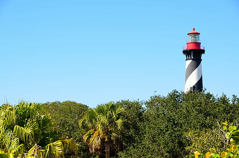 white and red lighthouse near trees, st augustine, florida HD wallpaper