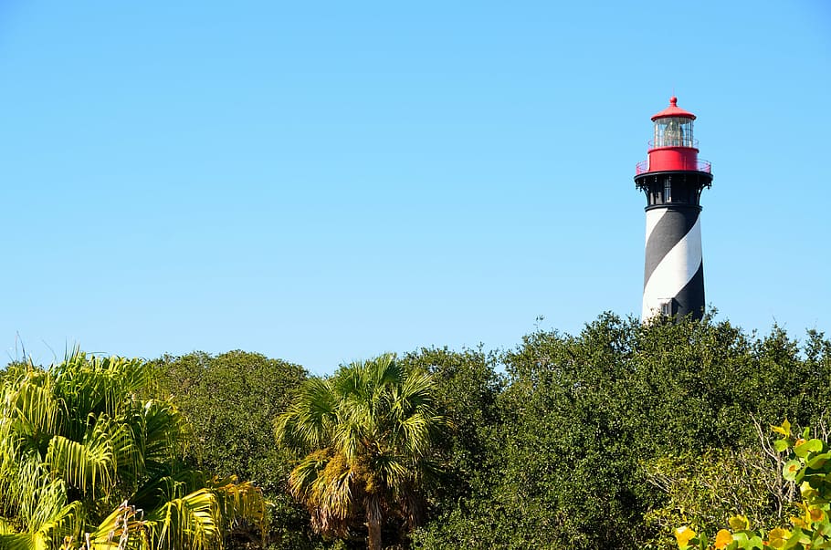 white and red lighthouse near trees, st augustine, florida HD wallpaper