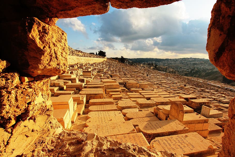 30000 Mount Of Olives Pictures  Download Free Images on Unsplash