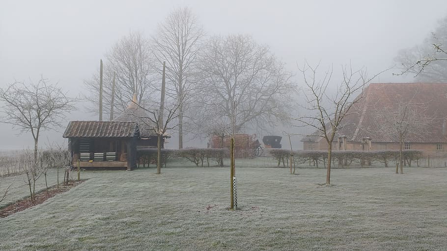 winter, landscape, dutch landscape, cold, frost, ripe, ice HD wallpaper