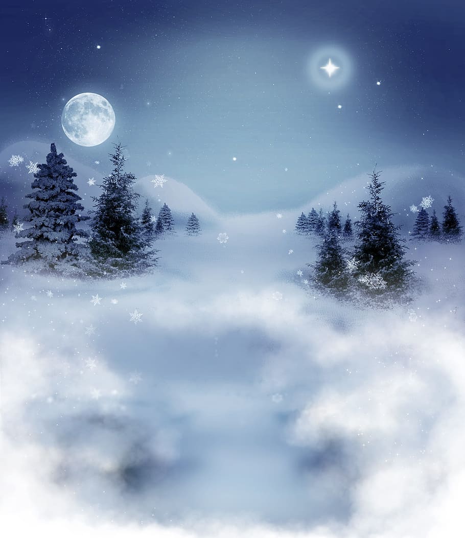 pine trees above clouds overlooking moon and star during nighttime illustration HD wallpaper