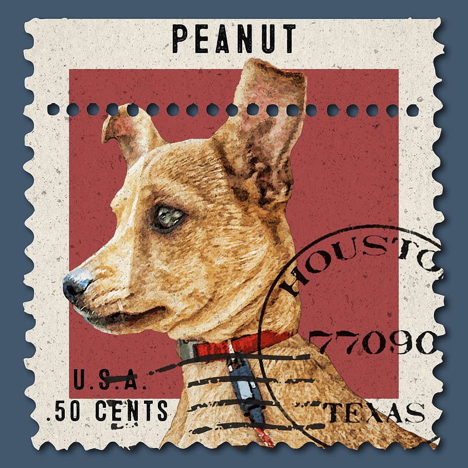 post, stamp, postal, vintage, retro, poster, dog, puppy, paper HD wallpaper