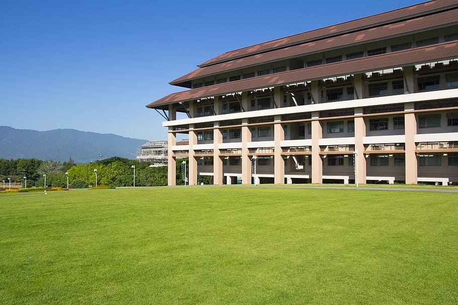 building, lawn, grass, architecture, construction, urban, built structure HD wallpaper