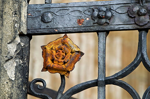brown and black floral metal gate, architecture, gothic, rose HD wallpaper