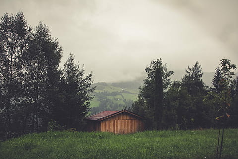 brown wooden house surrounded by trees, brown house between trees HD wallpaper