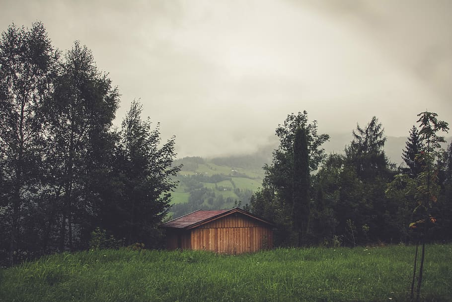 brown wooden house surrounded by trees, brown house between trees HD wallpaper