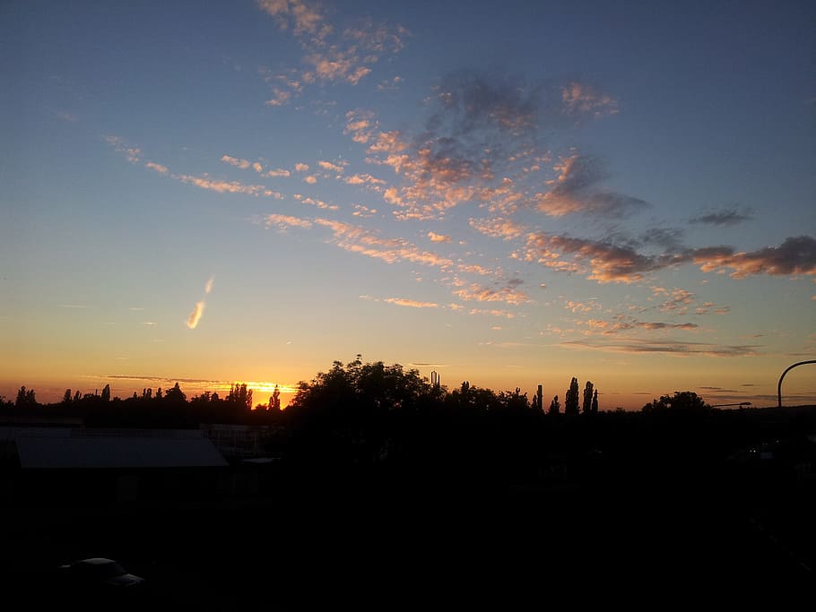 evening sky, aschaffenburg, germany, sunset, silhouette, tree, HD wallpaper