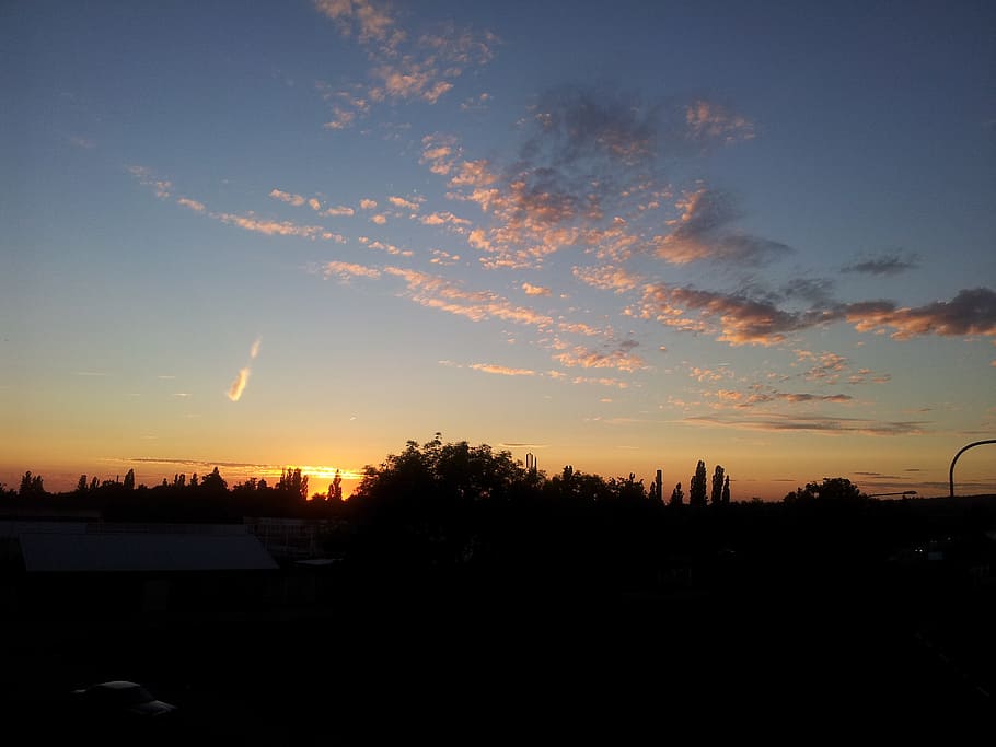 evening sky, aschaffenburg, germany, sunset, silhouette, tree HD wallpaper