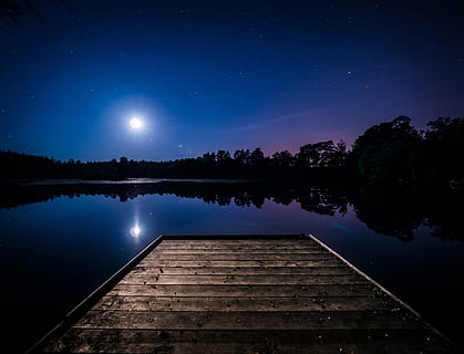 dark, night, evening, nature, water, lake, river, trees, woods HD wallpaper