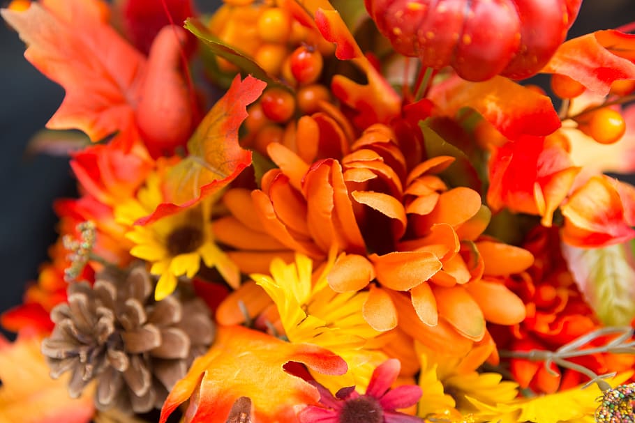 orange artificial petaled flowers close-up photography, fall flowers, HD wallpaper