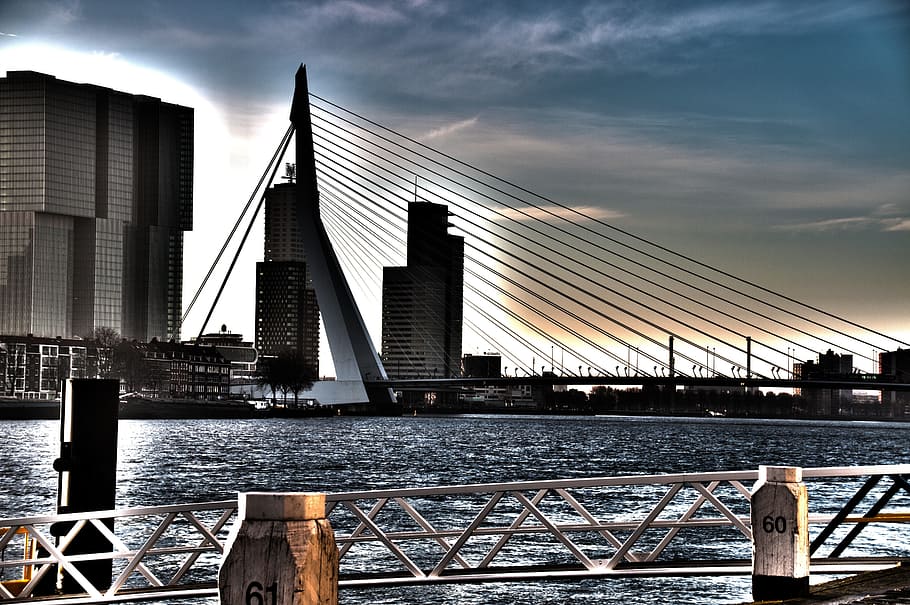 Rotterdam, Bridge, Hdr, Architecture, suspension bridge, bridge - man made structure HD wallpaper