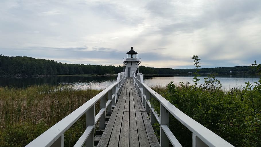 lighthouse near body of water during daytime, light house, harbor HD wallpaper