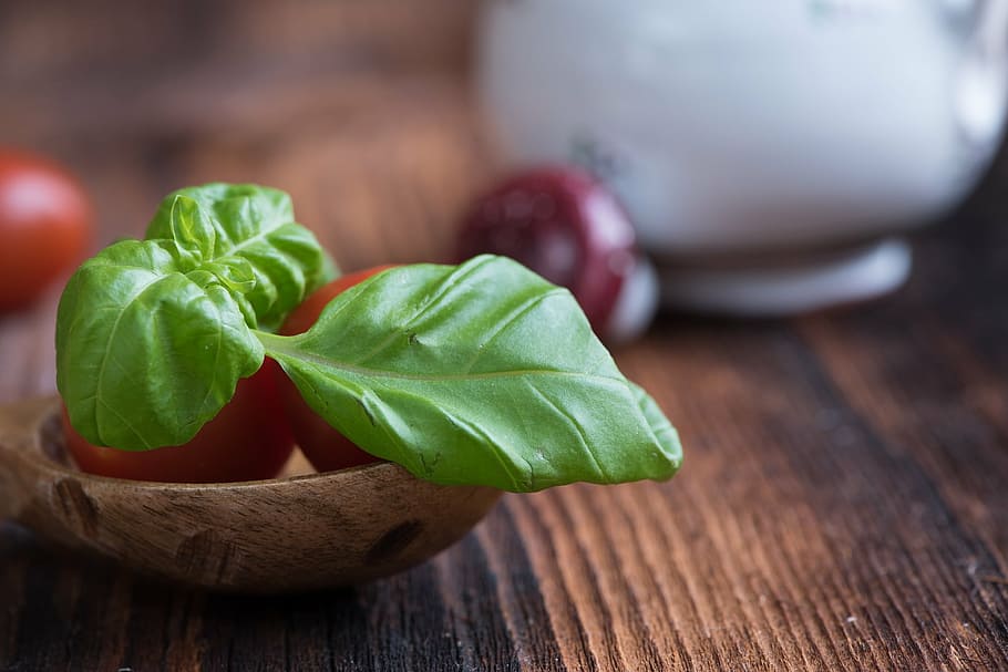 tomatoes, small tomatoes, red, basil, green, spice, herbs, close HD wallpaper