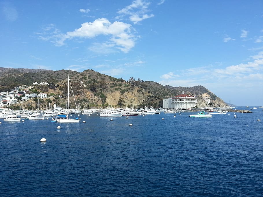 Catalina Island, California, vacation, sea, blue, sky, water, HD wallpaper