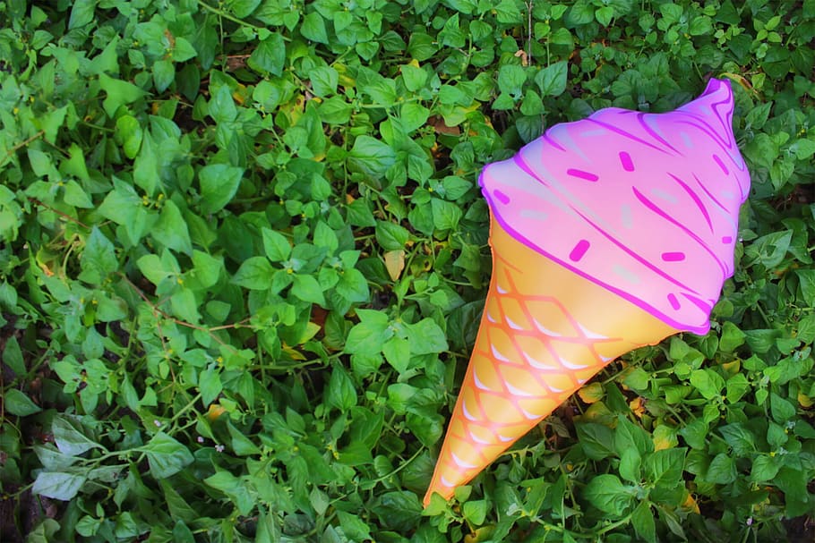 pink cone ice cream decor, nature, green Color, outdoors, leaf HD wallpaper