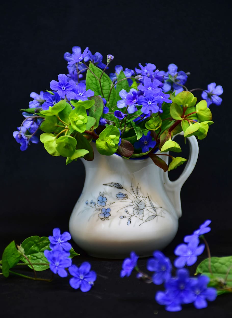 blue petaled flowers with white vase against black background