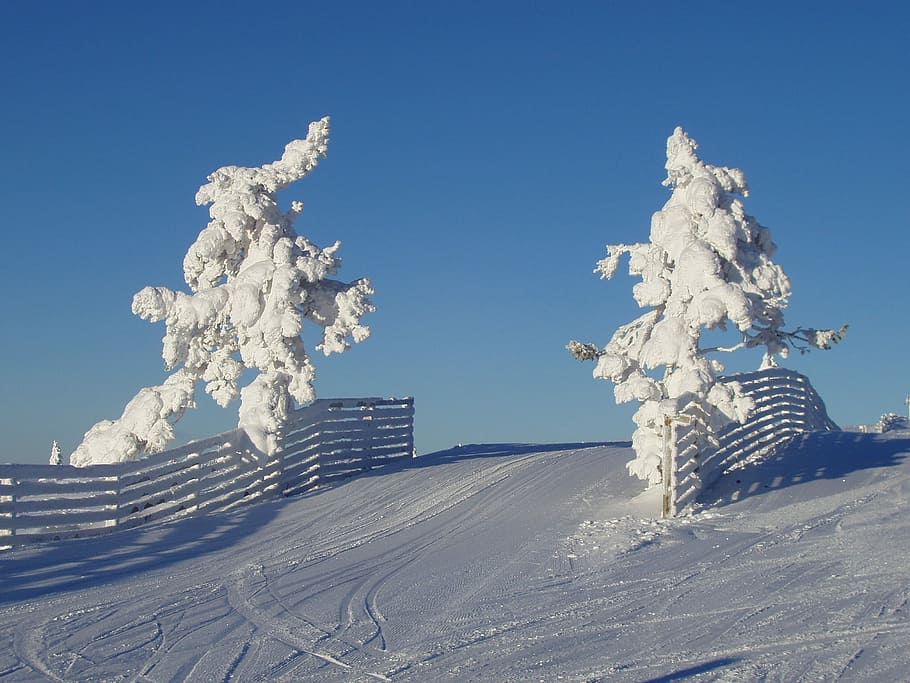 Natural, Winter, Snow, 1, no people, blue, nature, cold temperature HD wallpaper
