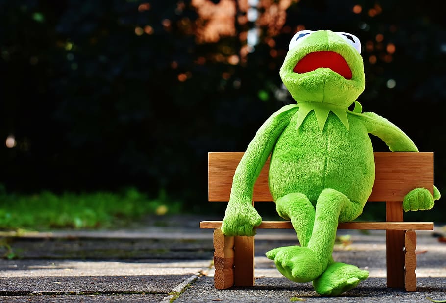 kermit, frog, bank, rest, sit, figure, funny, frogs, animal HD wallpaper