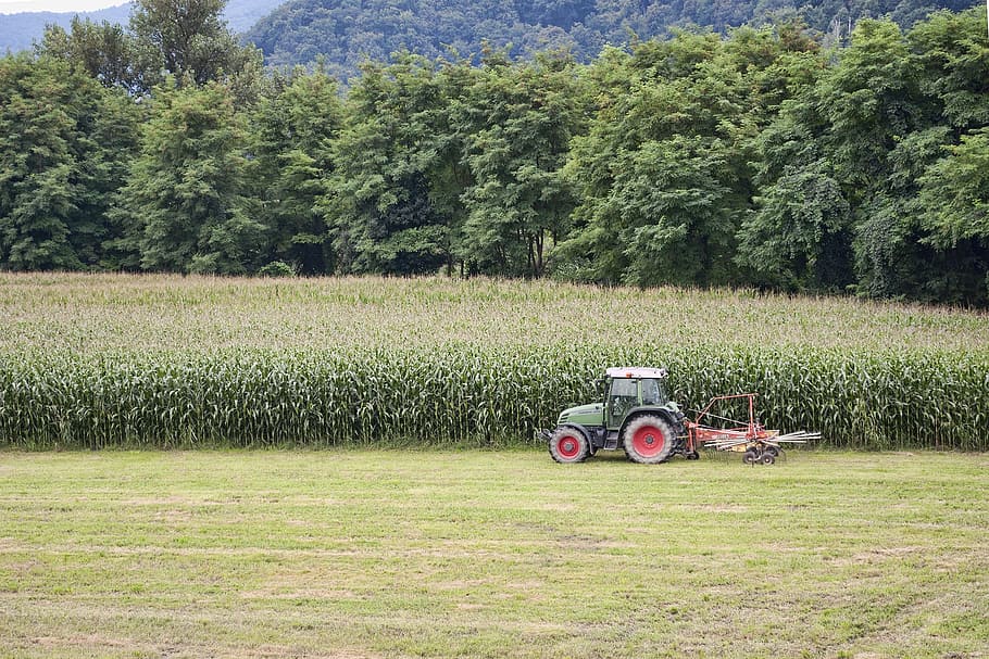agriculture, tractor, corn, processing, earth, nature, plant HD wallpaper