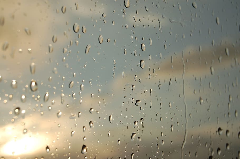 selective focus photography of dew drops on window panel during daytime HD wallpaper